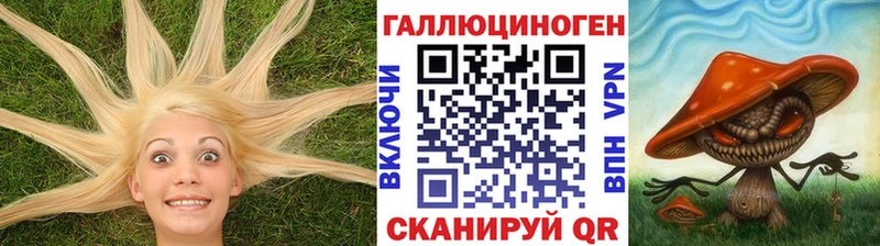 Купить  Чишмы  Псилоцибиновые грибы прущие грибы 
