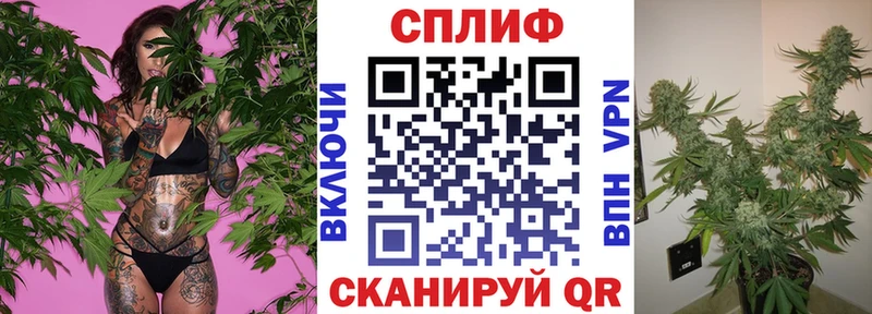 Купить где  Чишмы  Шишки марихуана VHQ 